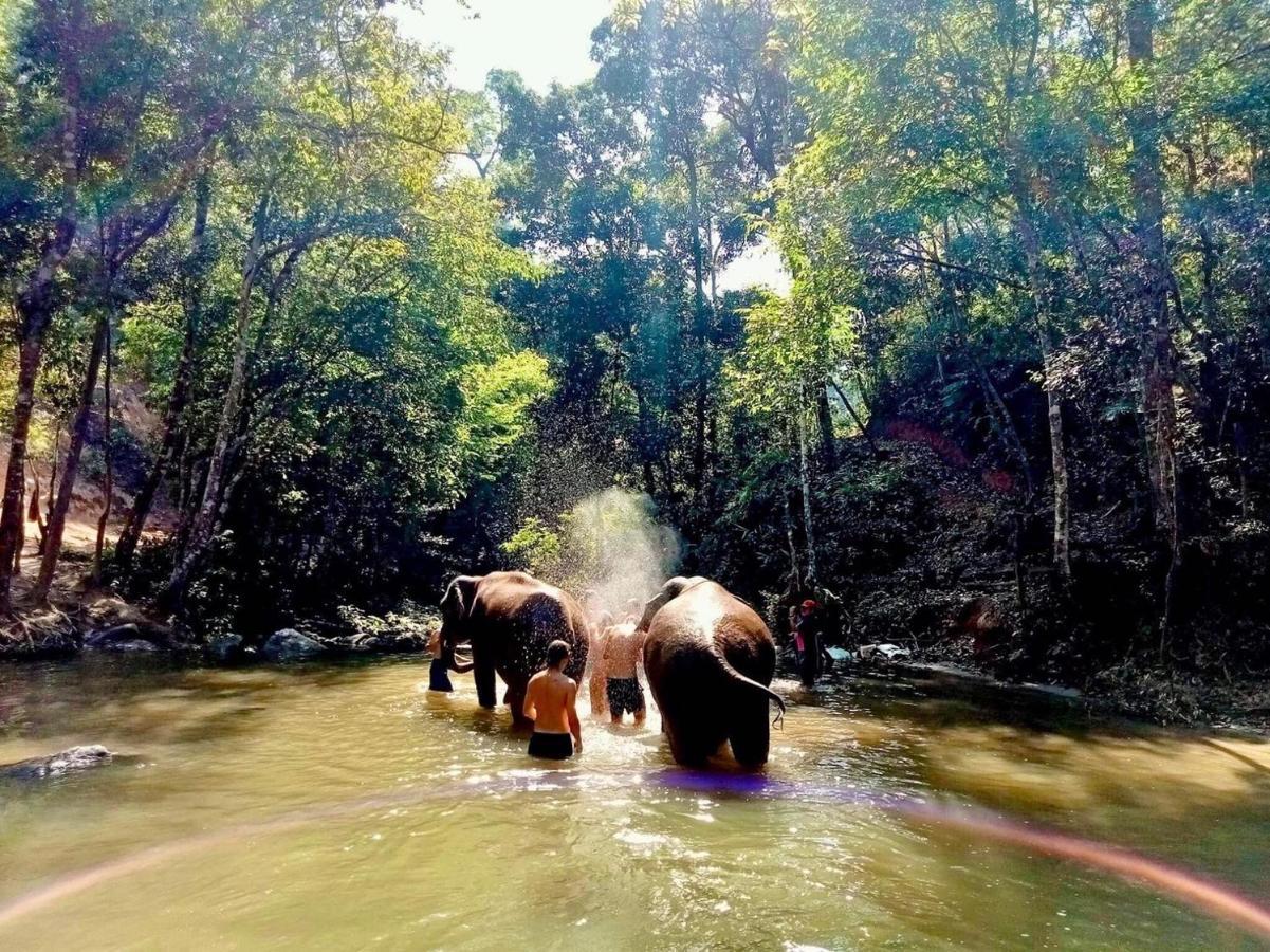 Motho Homestay โมโทโฮมสเตย์ Чом Тхонг Экстерьер фото